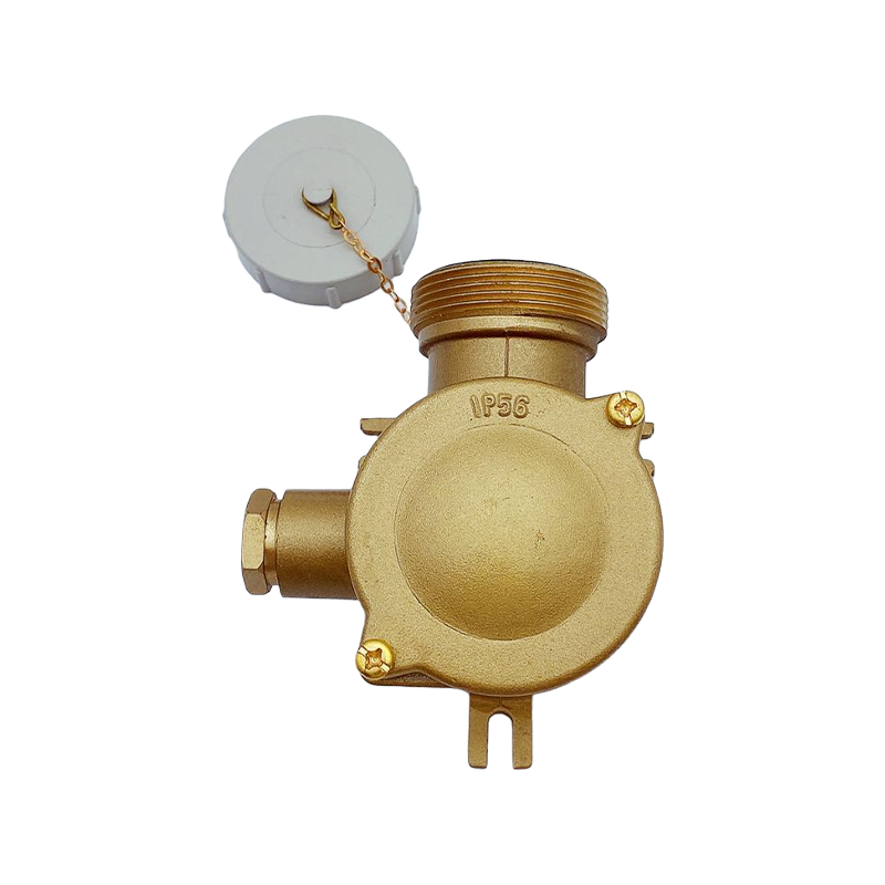 Prise en laiton avec dispositif de mise à la terre de l'interrupteur-CZH109-3