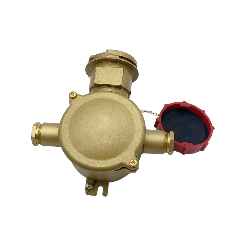 Prise électrique en laiton avec interrupteur de verrouillage-CZS3-2 1I4