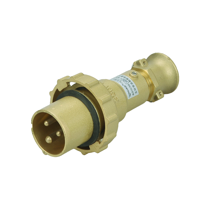 Fiche laiton Warine 32a、prise、prise avec interrupteur CTS2-2-14